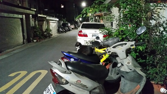 質與量的雙重提升 三星GALAXY S5攝錄詳測