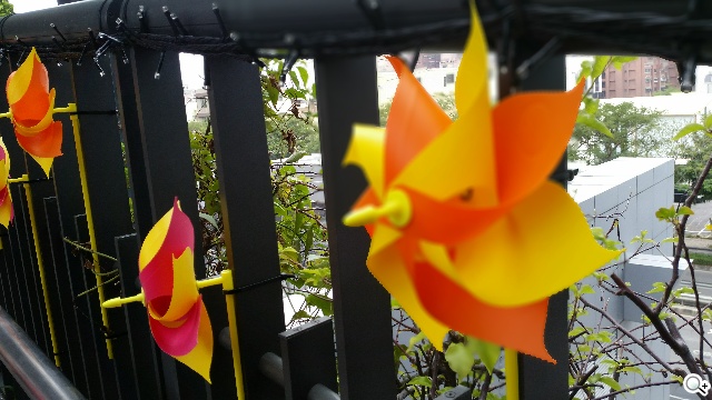 質與量的雙重提升 三星GALAXY S5攝錄詳測