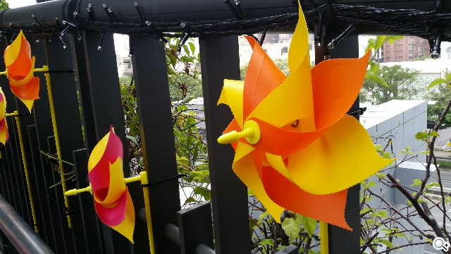 質與量的雙重提升 三星GALAXY S5攝錄詳測