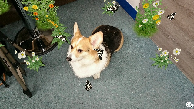 Sony Xperia Z2相機動靜皆宜 錄影功能再進化