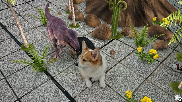 Sony Xperia Z2相機動靜皆宜 錄影功能再進化