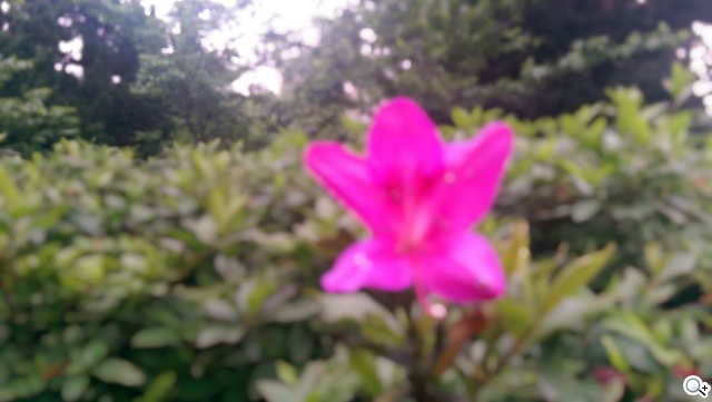 2014旗艦報到！M8、S5、Z2、G Pro 2四機全面比拼