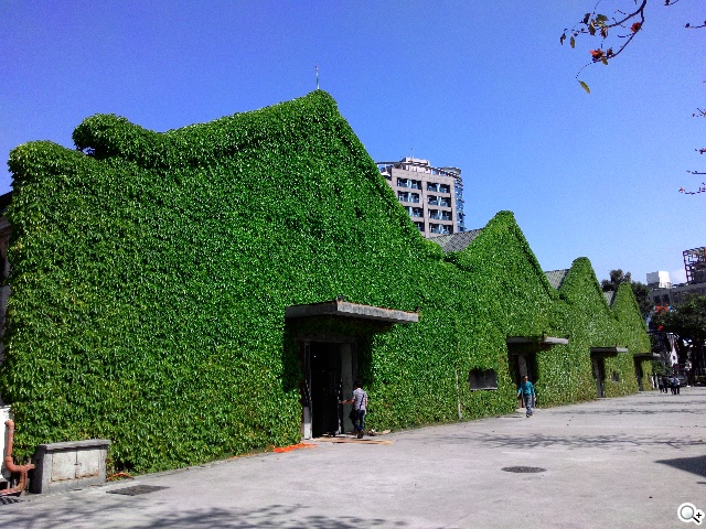 超值、雙卡、大螢幕 ASUS ZenFone 6美型登場