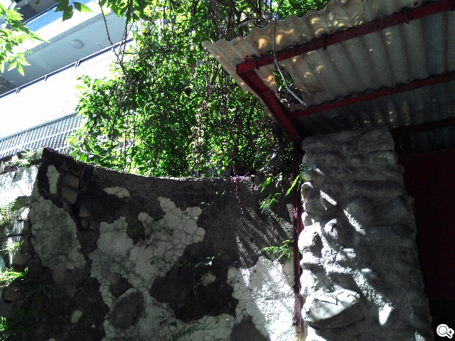 超值、雙卡、大螢幕 ASUS ZenFone 6美型登場