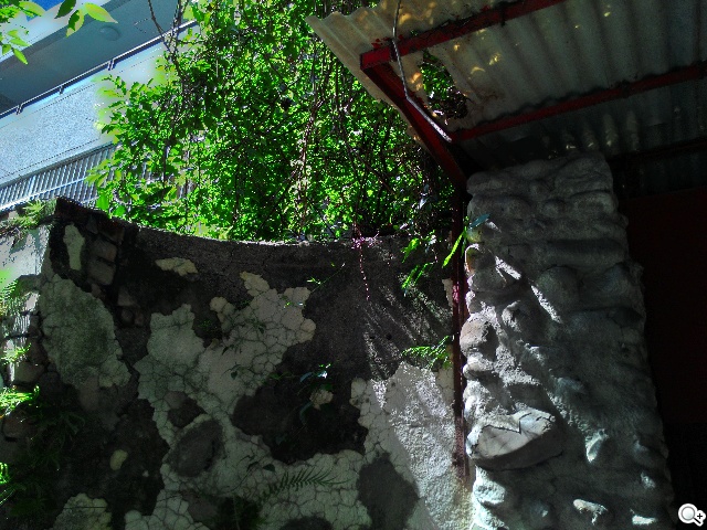 超值、雙卡、大螢幕 ASUS ZenFone 6美型登場