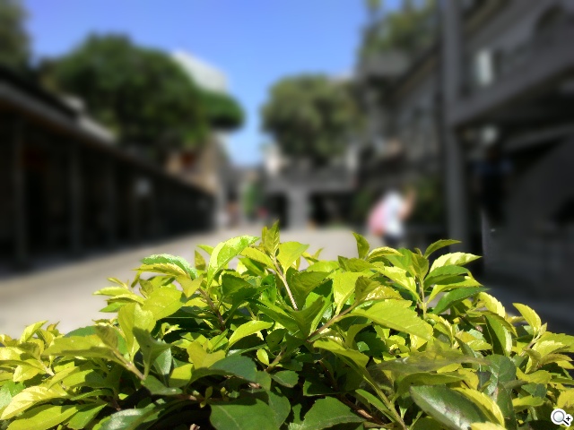 超值、雙卡、大螢幕 ASUS ZenFone 6美型登場