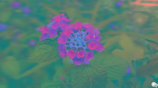 索尼6吋中階LTE智慧機Xperia T2 Ultra實測