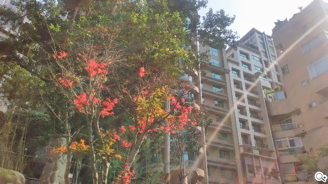 遠傳Smart 405 七千有找的輕巧4G平價手機