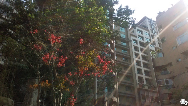 遠傳Smart 405 七千有找的輕巧4G平價手機