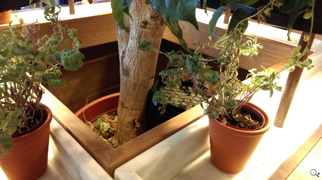 LTE萬元有找 HTC Desire 816、610正式登台