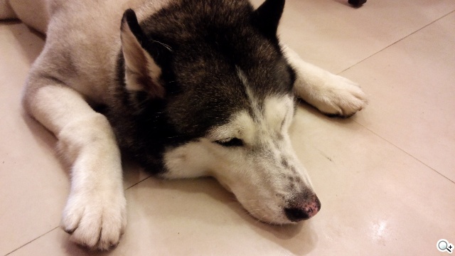 阿爾卡特6吋巨屏手機OneTouch Hero 多樣配件不同體驗