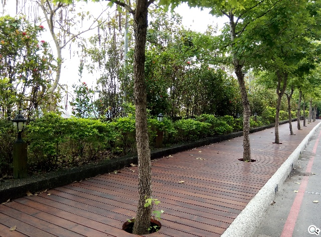 5.55吋超薄體驗 八核芭樂智慧手機bara 1