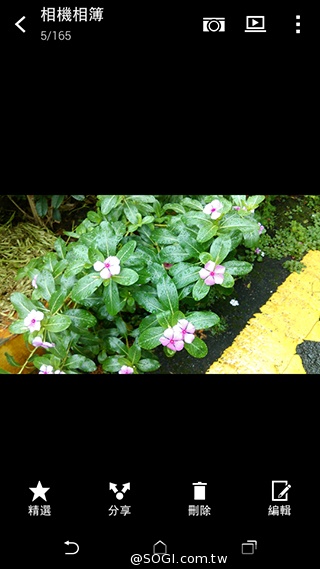 4G全頻段支援 HTC Desire 610延續旗艦享受