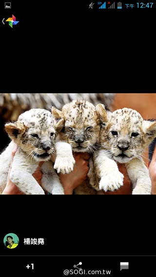 4千有找！超值4核雙卡機 INHON G3小星機實測