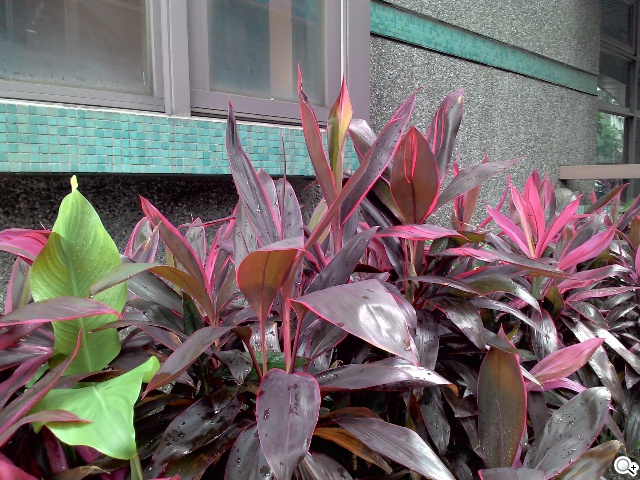 一機抵三機！華碩Fonepad 7 ME175CG雙卡手機平板