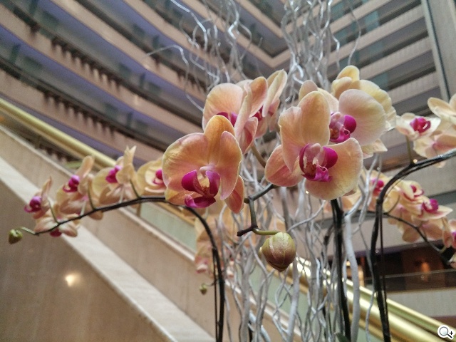 LG G3介面進化、雷射對焦相機 新加坡速測