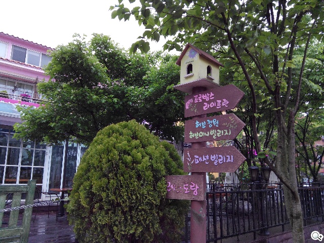 紅米手機、華碩ZenFone 5韓國隨拍大PK