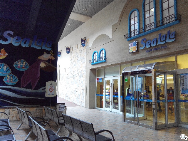 紅米手機、華碩ZenFone 5韓國隨拍大PK