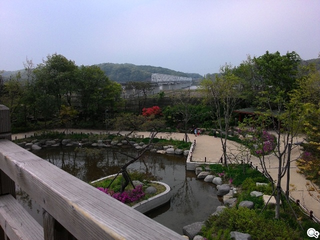 紅米手機、華碩ZenFone 5韓國隨拍大PK