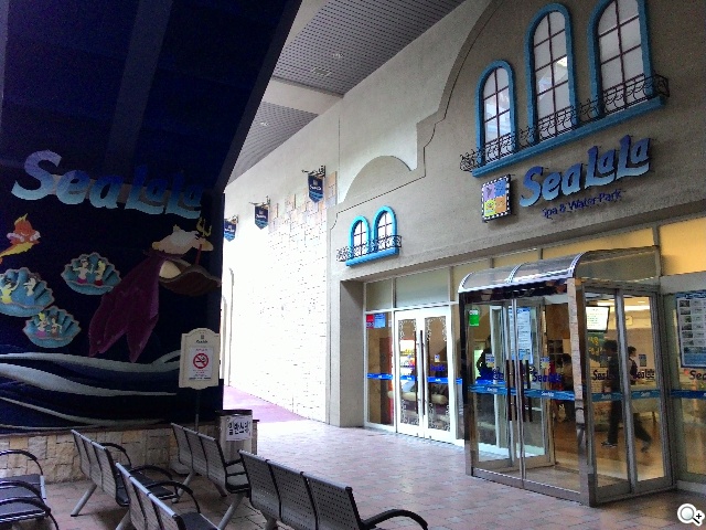 紅米手機、華碩ZenFone 5韓國隨拍大PK