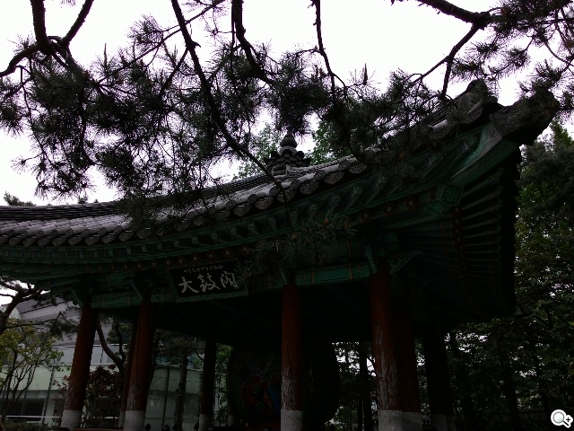 紅米手機、華碩ZenFone 5韓國隨拍大PK