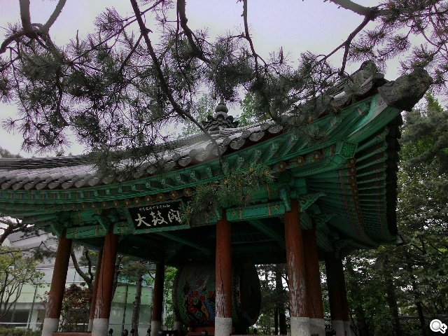 紅米手機、華碩ZenFone 5韓國隨拍大PK