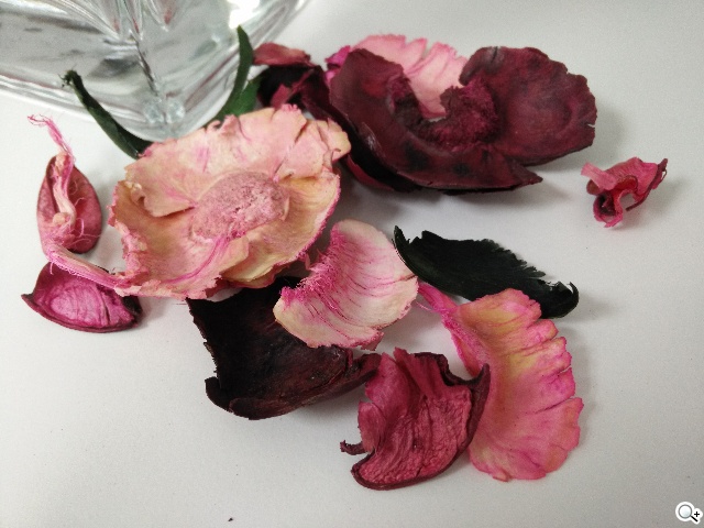 夜拍靚機！OPPO R1L中階4G智慧手機新秀