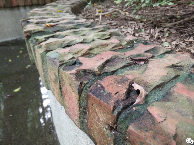 夜拍靚機！OPPO R1L中階4G智慧手機新秀