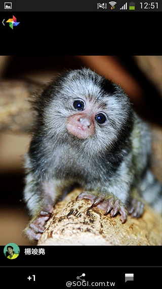 4G國民飆速機 SAMSUNG GALAXY Core LTE實測