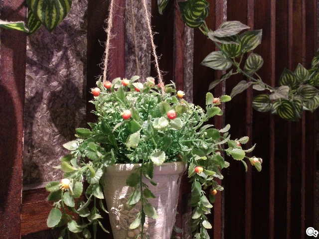 樂享4G！5吋平價LTE智慧手機 InFocus M510