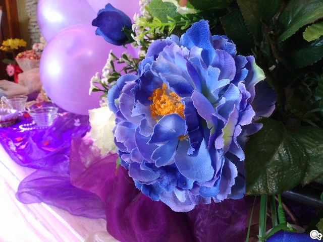 樂享4G！5吋平價LTE智慧手機 InFocus M510