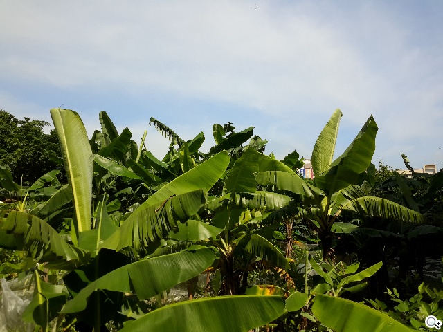 2K高畫質融合超薄機身 三星Tab S 10.5平板實測