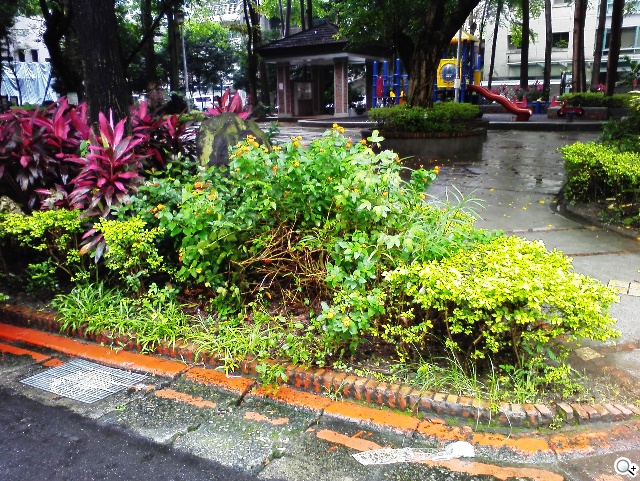 8吋4G通話平板HUAWEI MediaPad M1實測