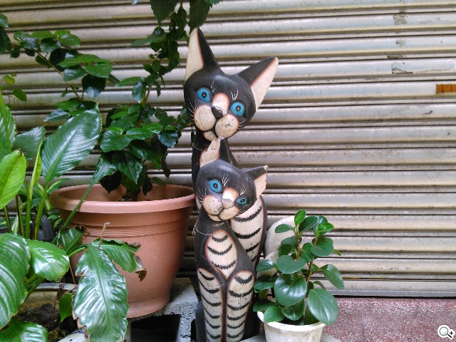 4G網路隨身帶 BenQ F4平價中階智慧機