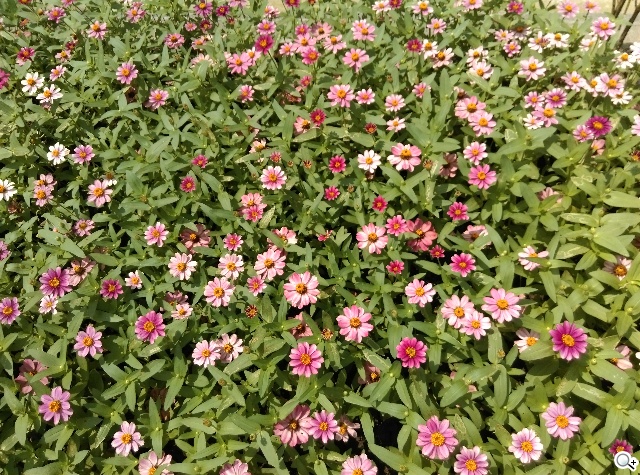 雙曲線更時尚！HTC One E8聯通4G LTE雙卡版速測