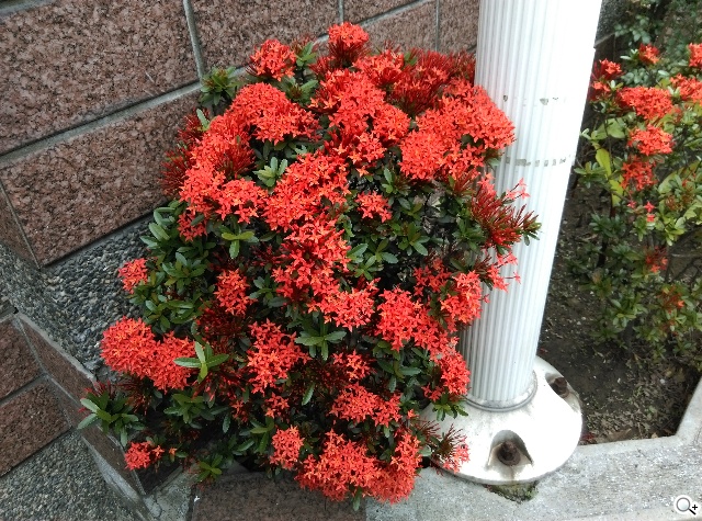 雙曲線更時尚！HTC One E8聯通4G LTE雙卡版速測