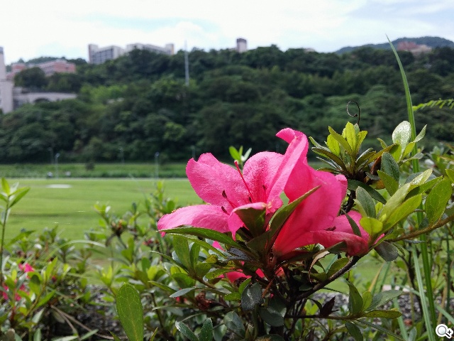 5.5吋4G旗艦智慧機LG G3 操作、攝錄新體驗