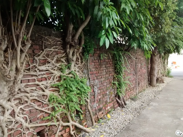 摩托羅拉4.3吋低價智慧型手機 Moto E