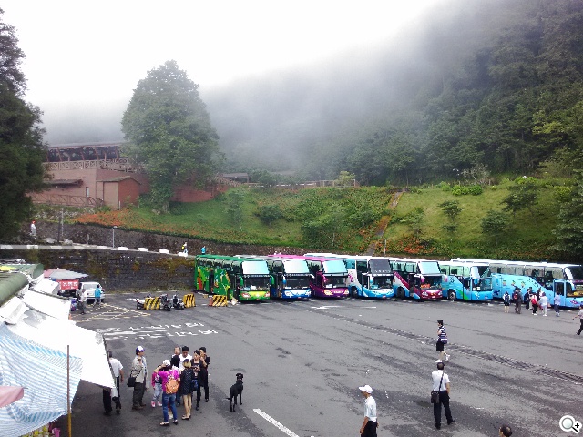 台灣之星、台哥大、遠傳、中華4G網速 嘉義阿里山實測 台灣之星、台哥大、遠傳、中華4G網速 嘉義阿里山實測