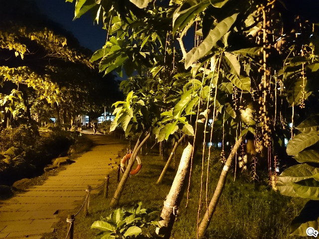 5吋防水機Sony Xperia Z2a 支援台灣4G全頻