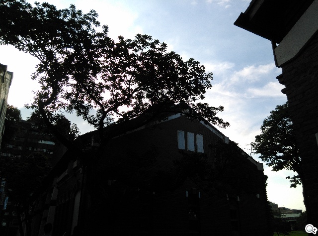 5吋4G智慧手機BenQ F5 四倍高感光暗處依舊精彩