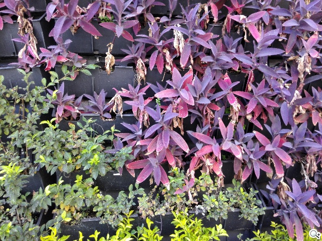 4G可通話平板HUAWEI MediaPad X1 7.0實測