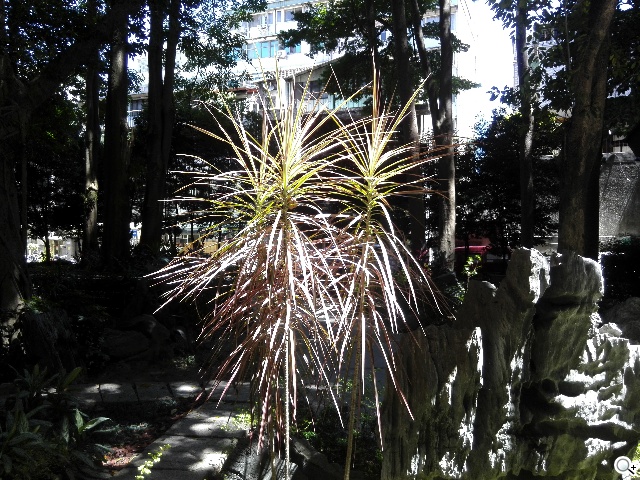 4G可通話平板HUAWEI MediaPad X1 7.0實測