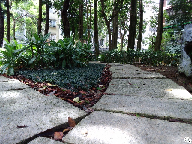 5.3吋纖薄時尚4G手機 Sony Xperia T3