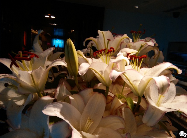 威圖最強奢華智慧機 Vertu Signature Touch動手玩