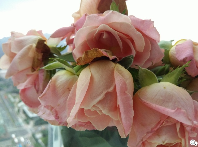 威圖最強奢華智慧機 Vertu Signature Touch動手玩