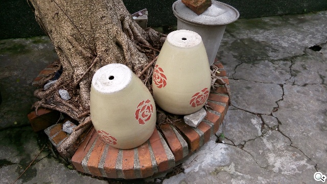 5吋MTK八核雙卡手機 酷派大神F1低價襲台