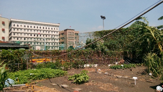 5吋MTK八核雙卡手機 酷派大神F1低價襲台