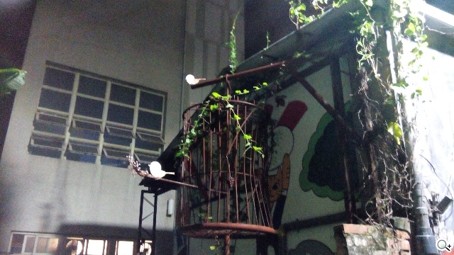 5吋MTK八核雙卡手機 酷派大神F1低價襲台