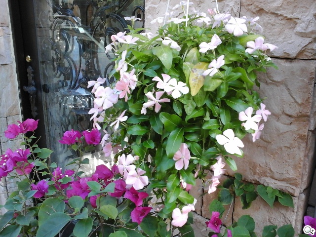 三星Tab 4 7.0 LTE 萬元有找的全頻4G小平板